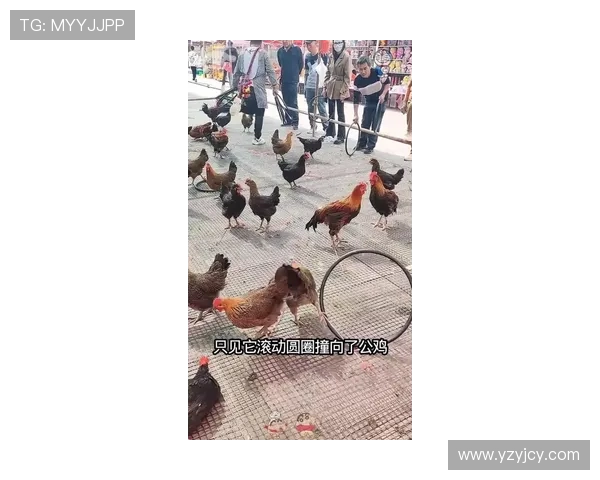 爆笑翻车名场面!2025 菜鸡互啄年度大盘点(2) 爆笑翻车名场面!2025 菜鸡互啄年度大盘点(2)